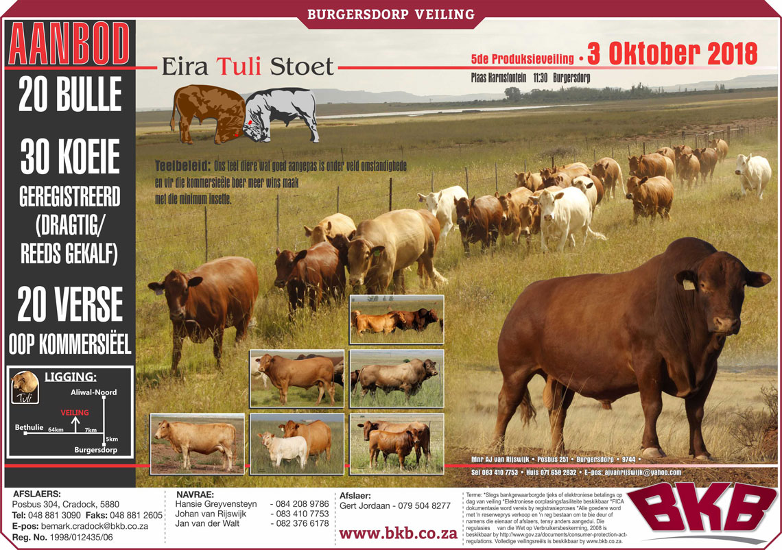 Eira Tuli Stud Sale 2018