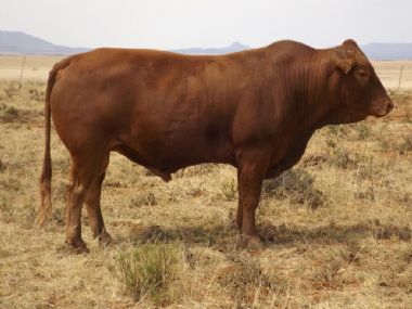 Lot 10  - AVR 15-34