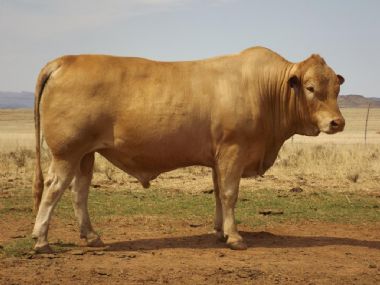 Lot 2 - AVR 15-64