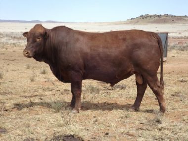 Lot 7 - AVR 15-208