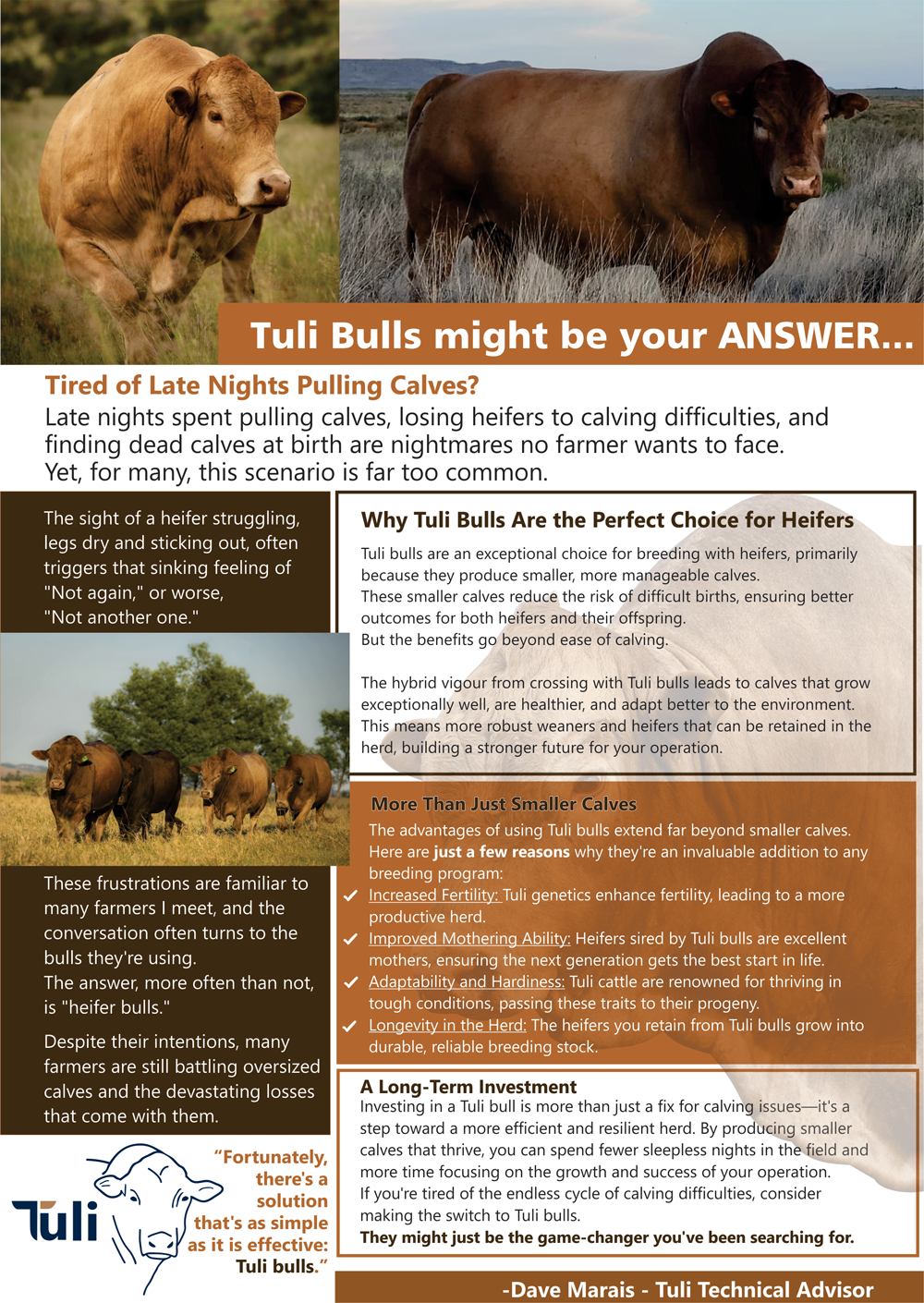 Tuli Bulls might be your ANSWER
