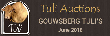 Gouwberg Tuli's