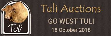 Go West Tuli's