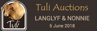 Langlyf and Nonnie Tuli Stud 