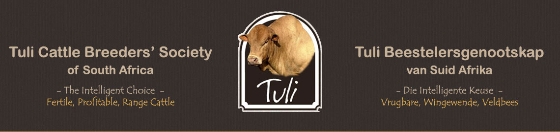 Tuli Beeste - Veilings in die Verlede
