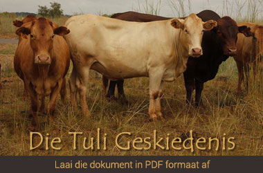 Tuli Geskiedenis